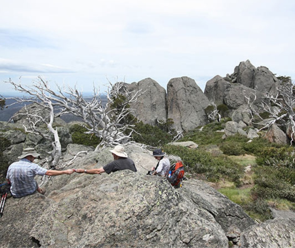 Porcupine walk - Accommodation Jindabyne Porcupine walk - Best Hikes in Jindabyne