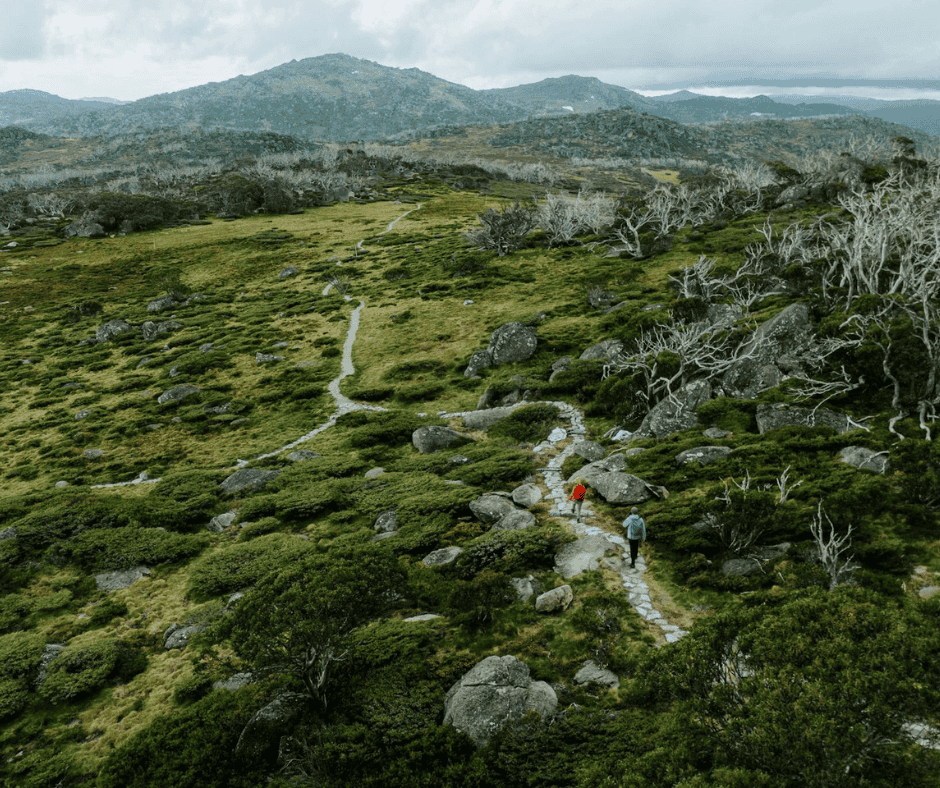 Snowies Alpine Walk - Accommodation Jindabyne Snowies Alpine Walk - Best Hikes in Jindabyne